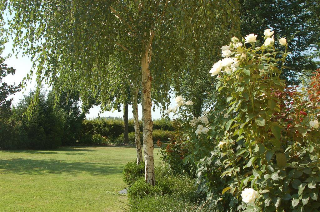 B&B Temenos Parma Dış mekan fotoğraf