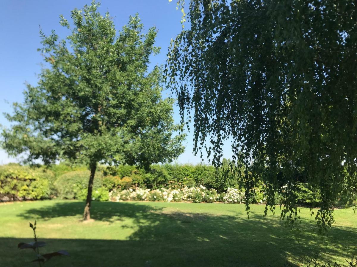 B&B Temenos Parma Dış mekan fotoğraf